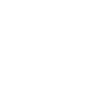 icons8 премия 100 (1)