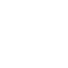 icons8 премия 100 (2)