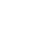 icons8 успех 100